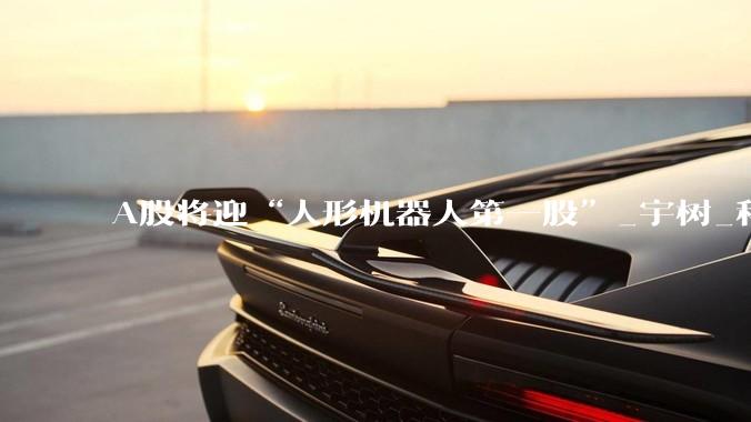 A股将迎“人形机器人第一股”_宇树_科技_商业化