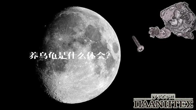 养乌龟是什么体会？
