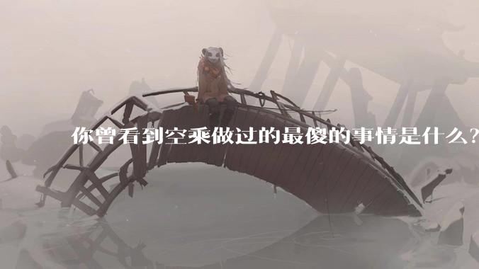 你曾看到空乘做过的最傻的事情是什么？