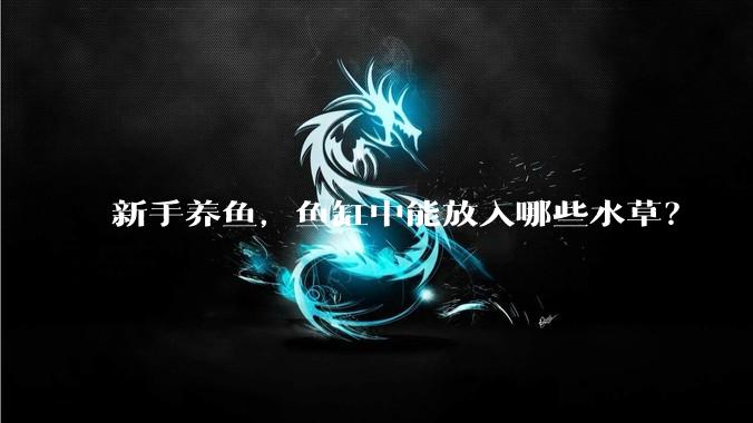 新手养鱼，鱼缸中能放入哪些水草？